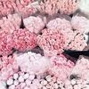 hvalente